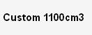  Custom 1100cm3